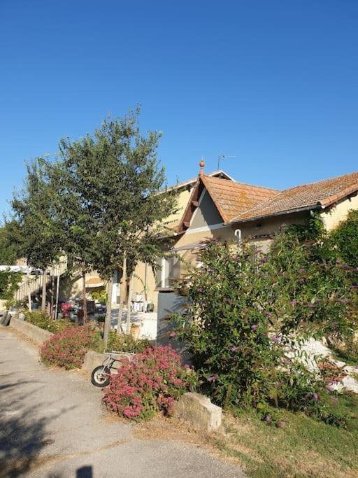 St Remy De Provence, La Maison Du Berger Saint-Andiol Eksteriør billede