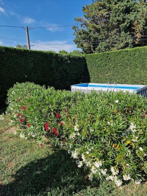 St Remy De Provence, La Maison Du Berger Saint-Andiol Eksteriør billede