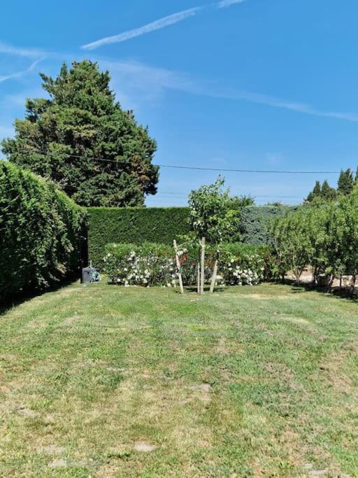 St Remy De Provence, La Maison Du Berger Saint-Andiol Eksteriør billede